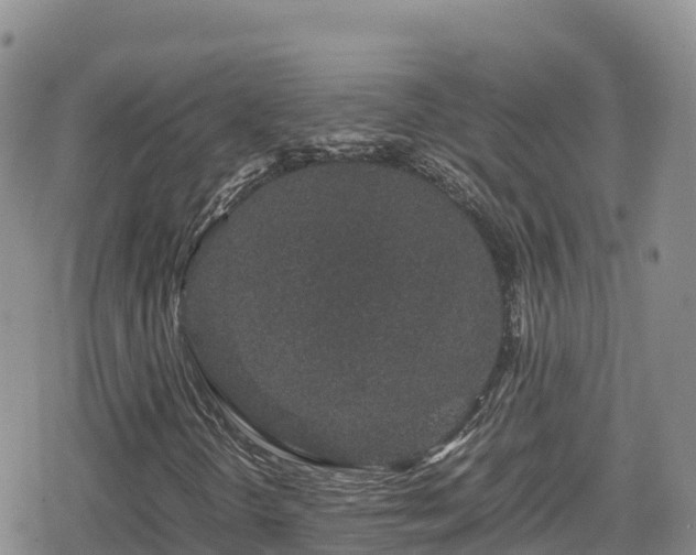 X0000080711298200612221132