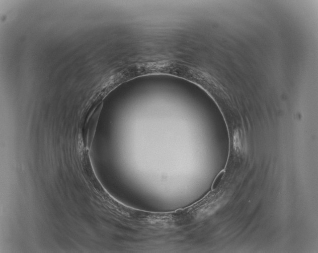 X0000080711299200612221132