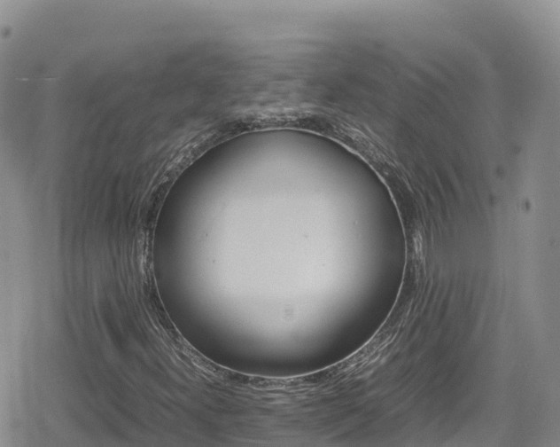 X0000080711300200612221132