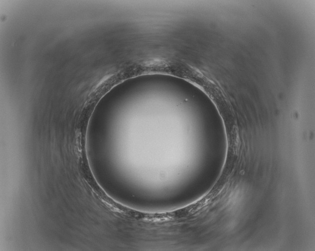 X0000080711301200612221132