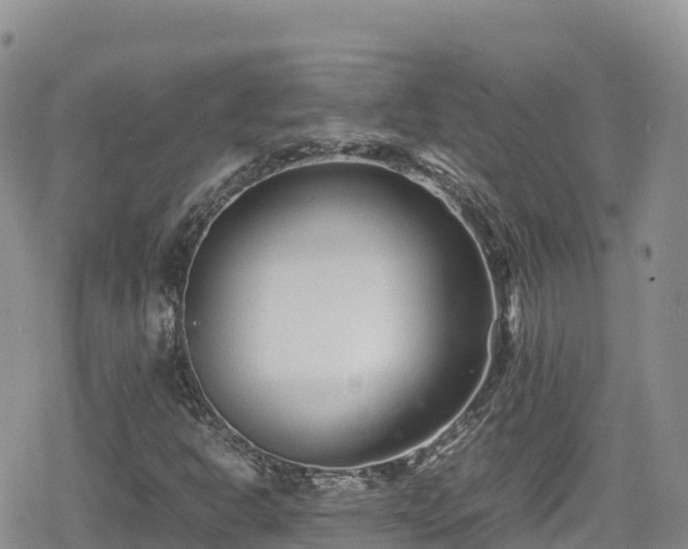 X0000080711302200612221133