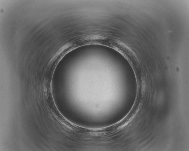 X0000080711305200612221133