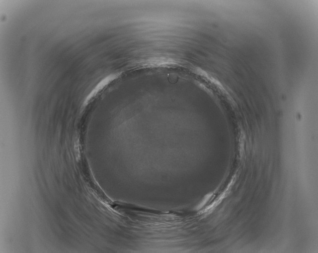 X0000080711306200612221133