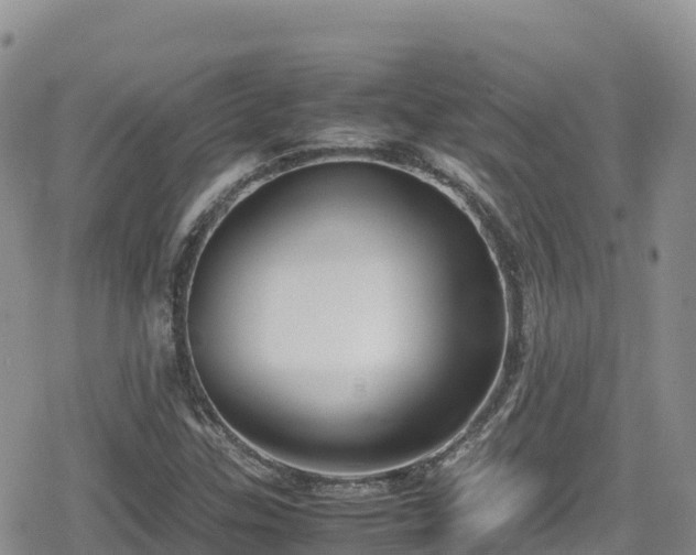 X0000080711307200612221133