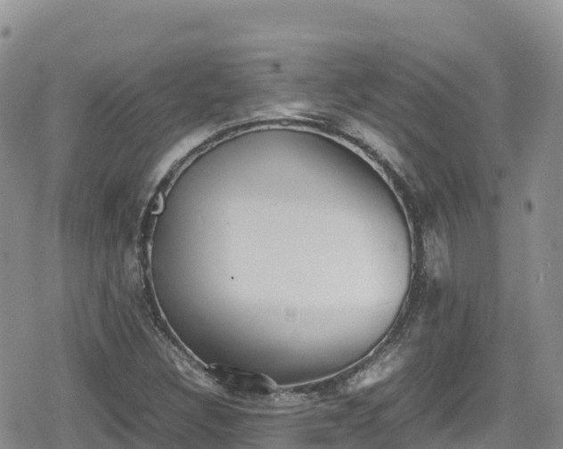 X0000080711308200612221133