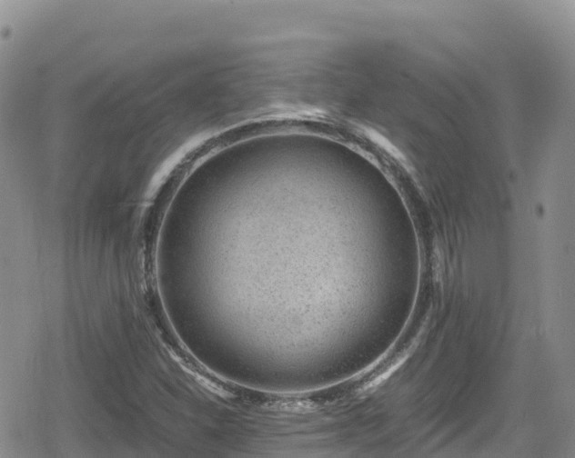 X0000080711310200612221133