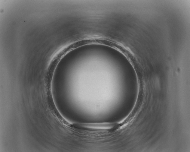 X0000080711311200612221133