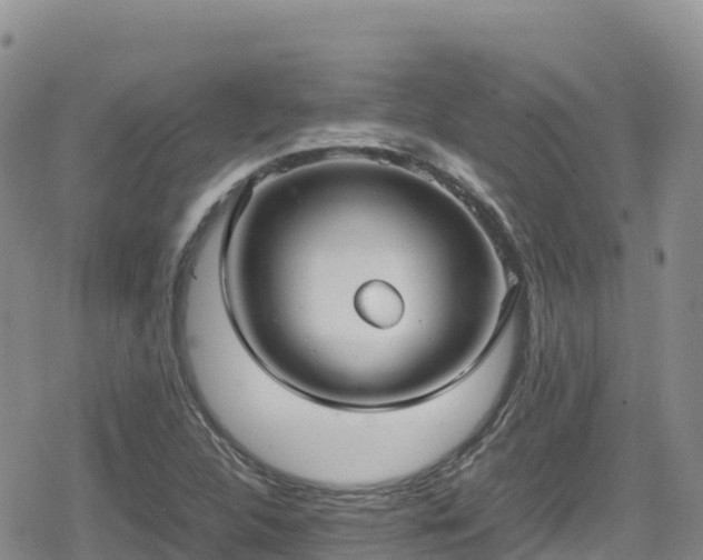 X0000080711312200612221133