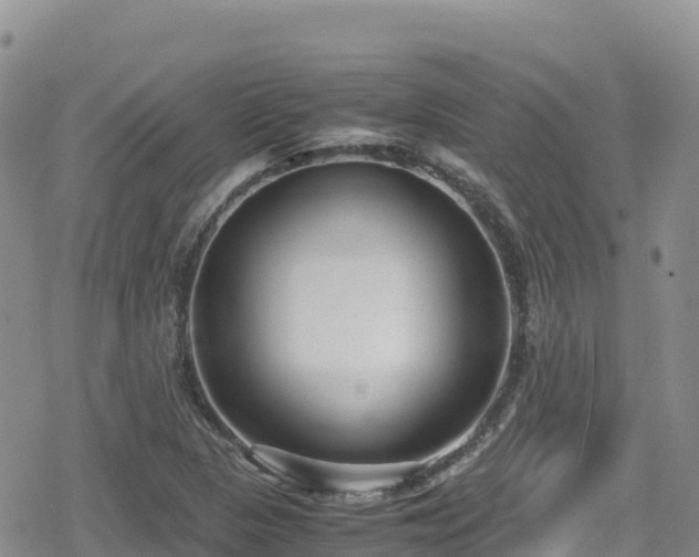 X0000080711313200612221133