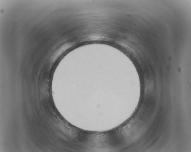 X0000080711314200612221133