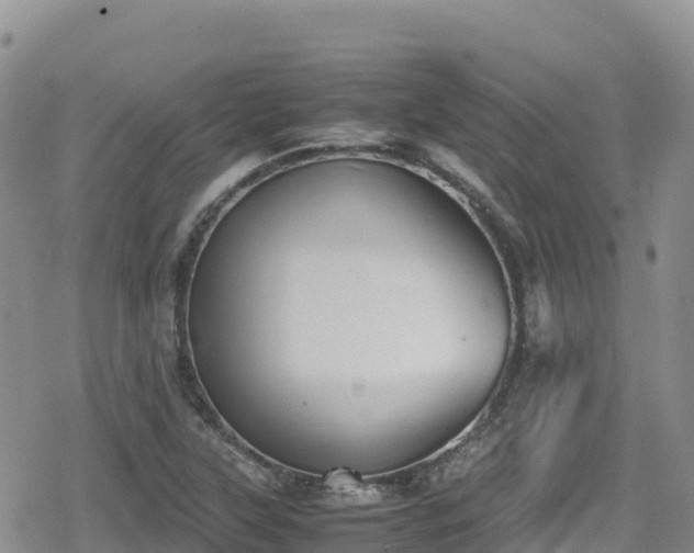 X0000080711315200612221133