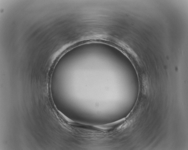 X0000080711316200612221133