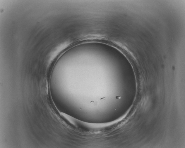 X0000080711317200612221133