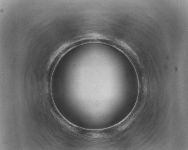 X0000080711318200612221133