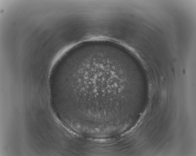 X0000080711319200612221133