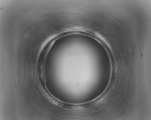 X0000080711320200612221133