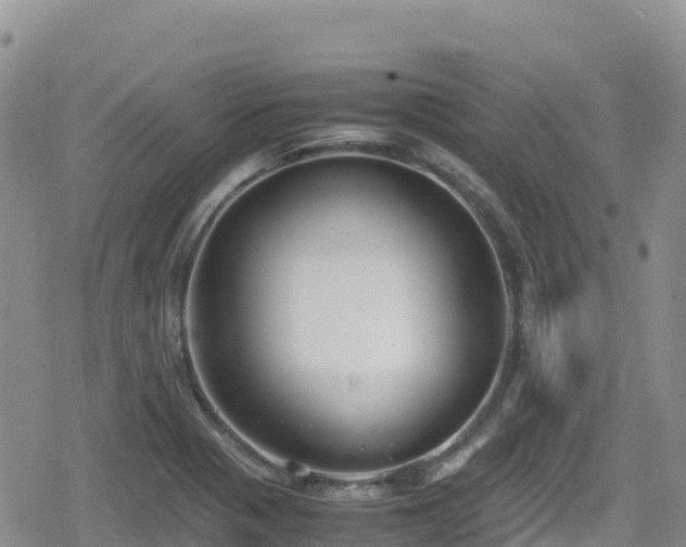 X0000080711321200612221133