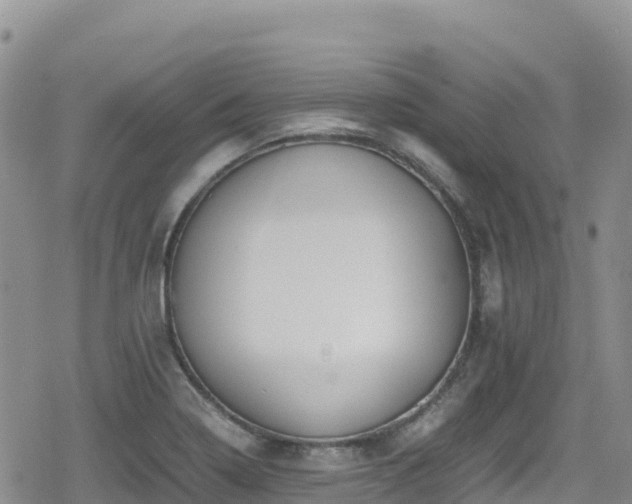 X0000080711322200612221133