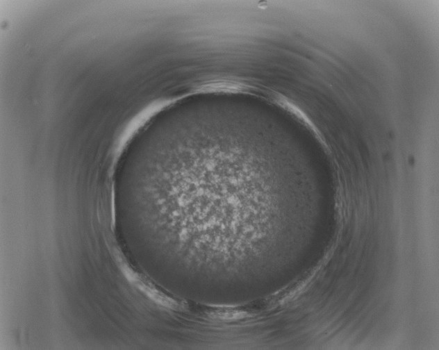 X0000080711323200612221133