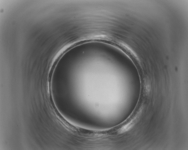 X0000080711324200612221133