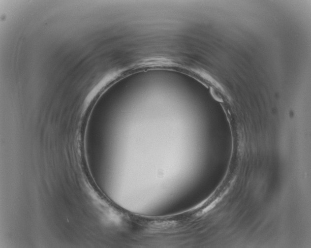 X0000080711325200612221133