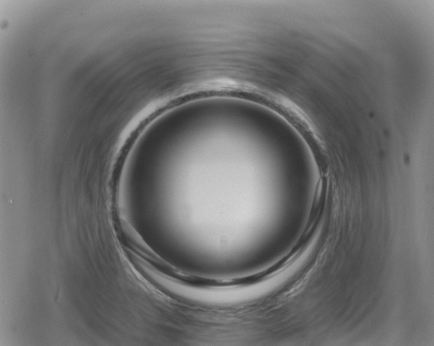 X0000080711326200612221133