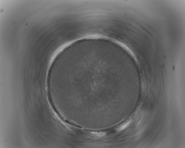 X0000080711327200612221133