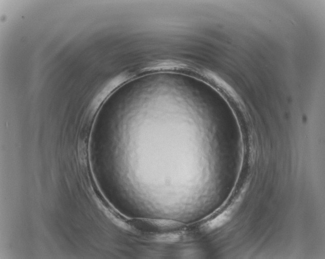 X0000080711329200612221133