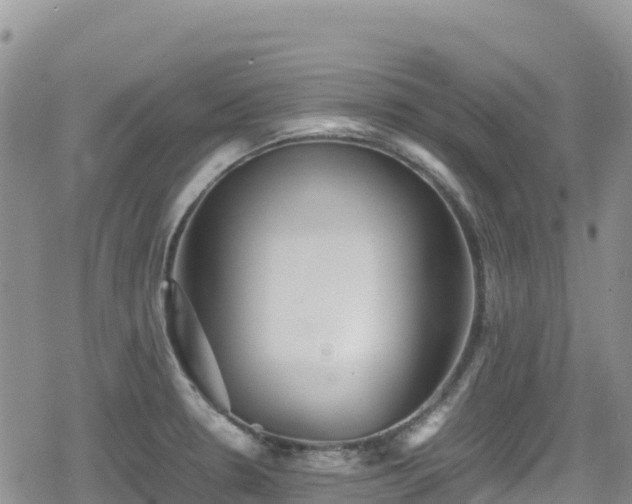 X0000080711330200612221133