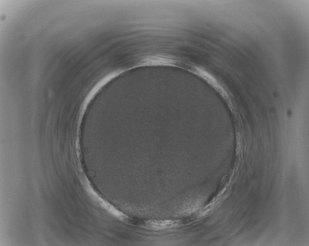 X0000080711331200612221133