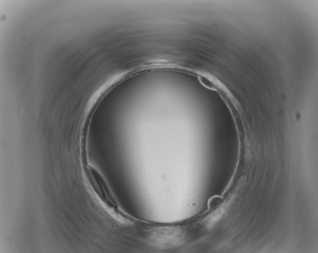 X0000080711333200612221133