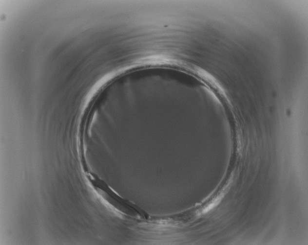 X0000080711334200612221133