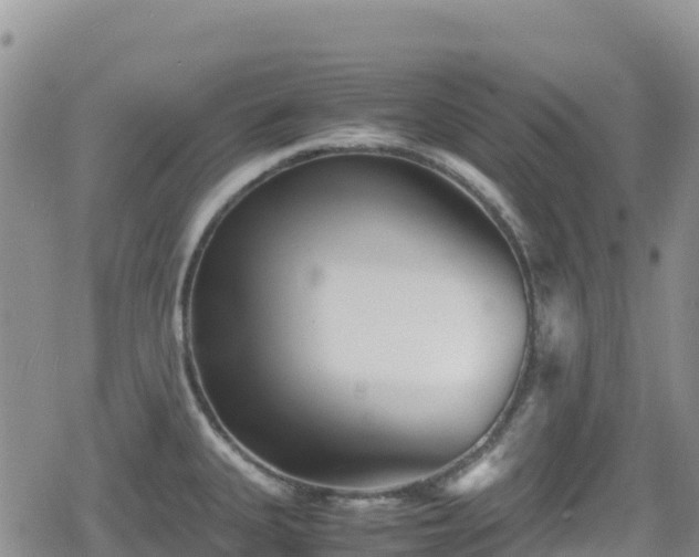 X0000080711335200612221133