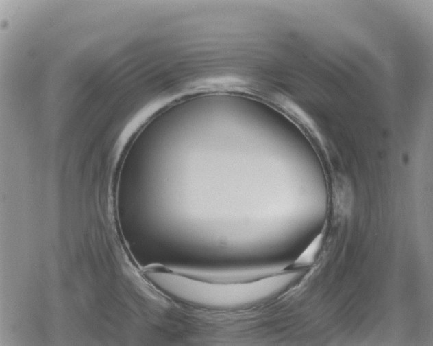 X0000080711336200612221133