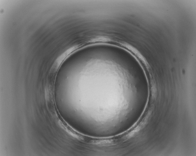 X0000080711337200612221133