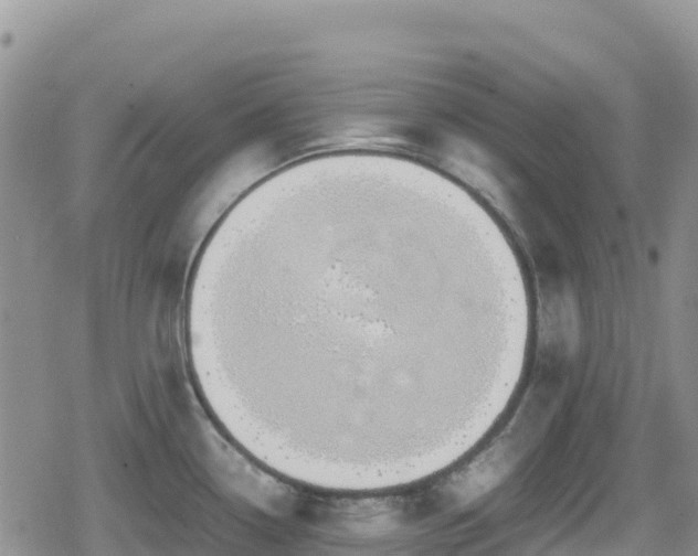 X0000080711338200612221133