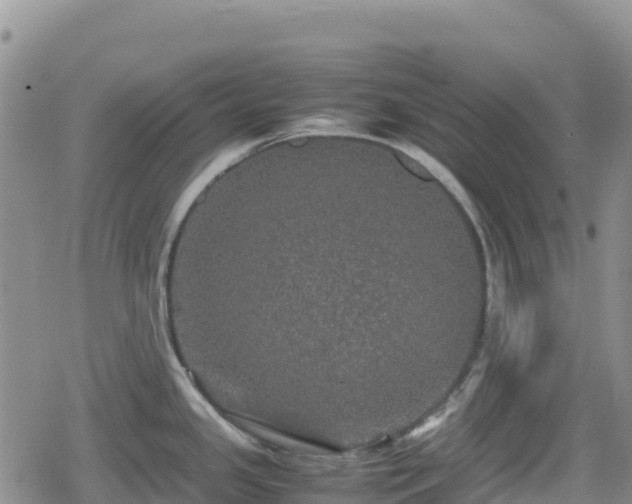 X0000080711341200612221133