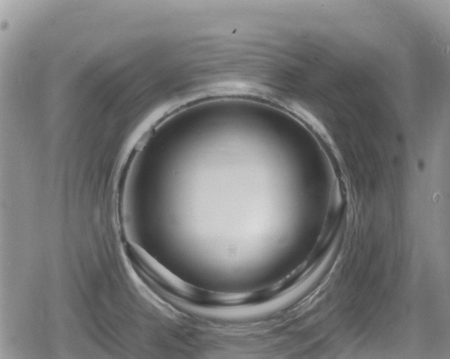 X0000080711342200612221133