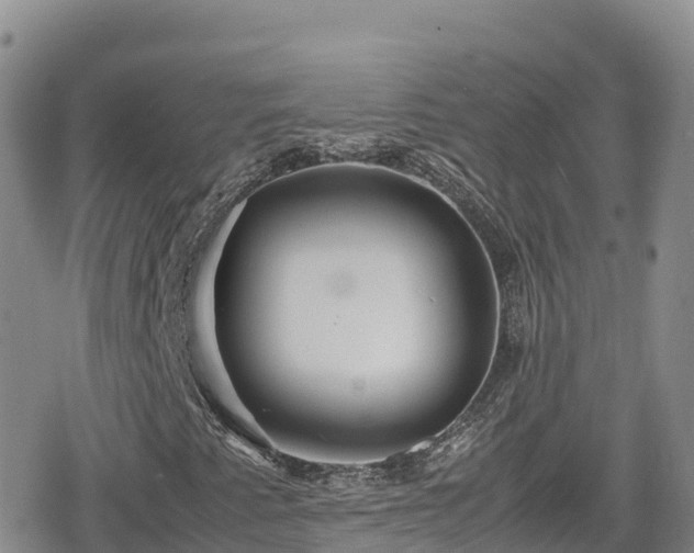 X0000080711345200612221132