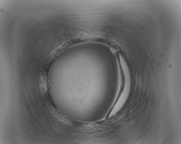 X0000080711348200612221132