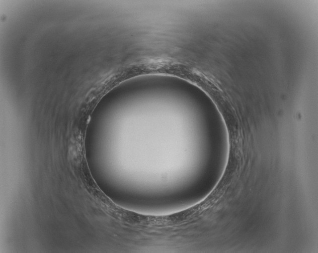 X0000080711349200612221132