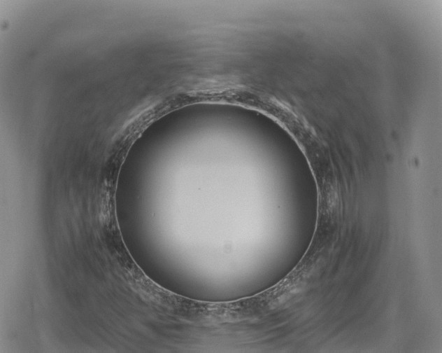 X0000080711350200612221132