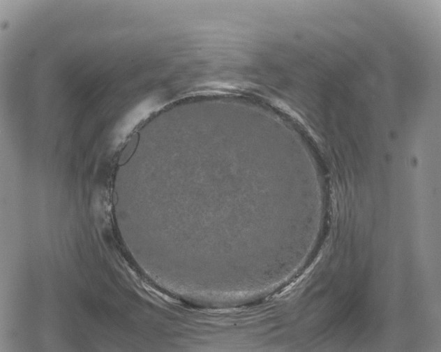 X0000080711355200612221132