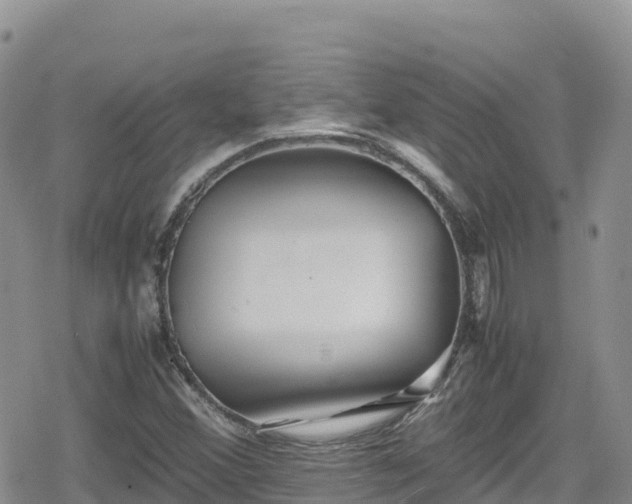 X0000080711356200612221132