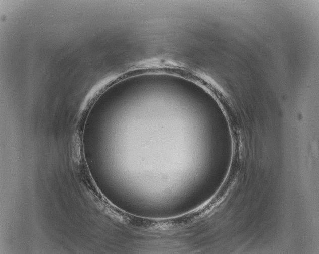 X0000080711358200612221132