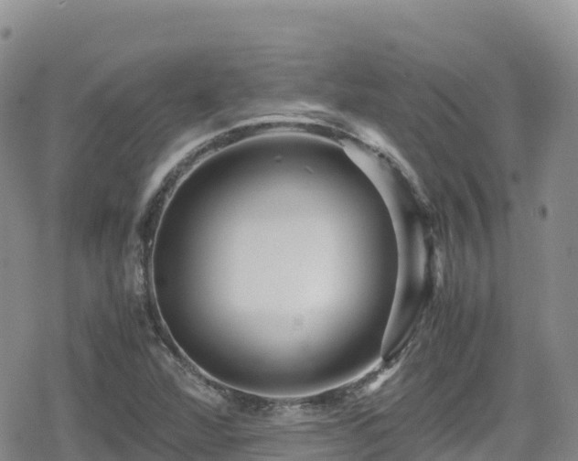 X0000080711360200612221132