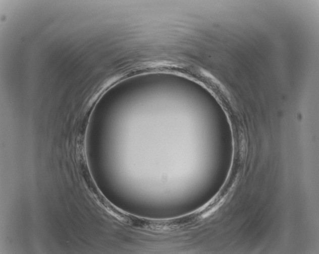 X0000080711361200612221132