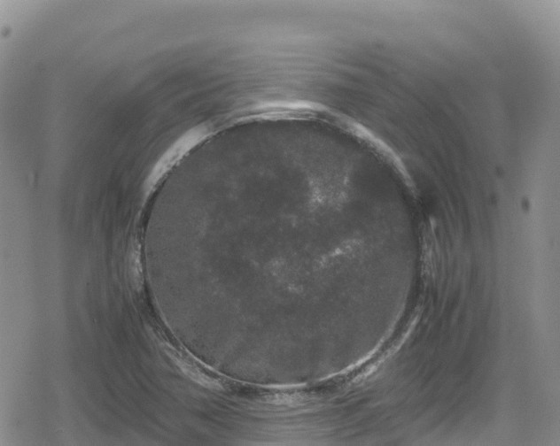 X0000080711362200612221132