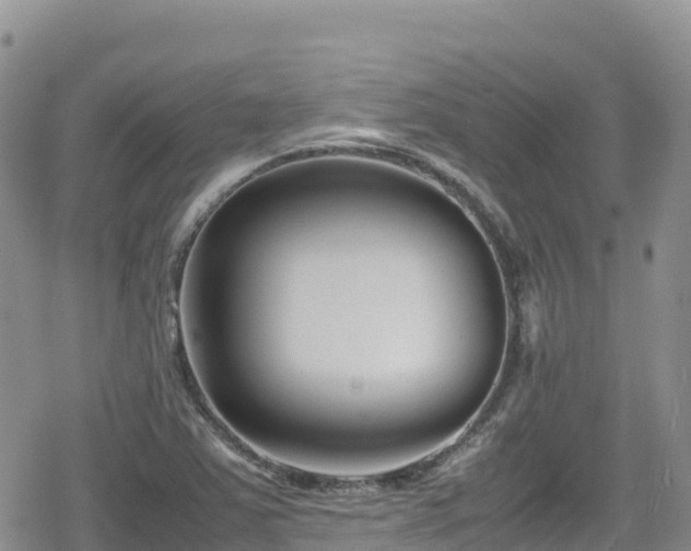 X0000080711363200612221132