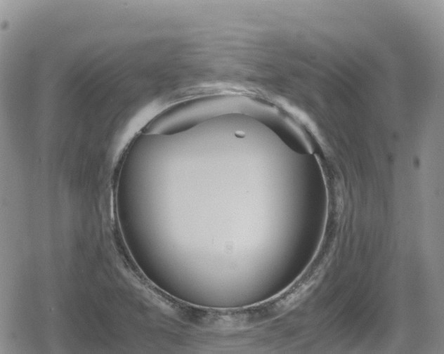 X0000080711365200612221132